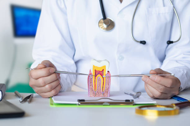 Best Cosmetic Emergency Dentistry in Monsey, NY